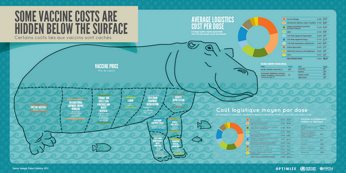 optimize hippo