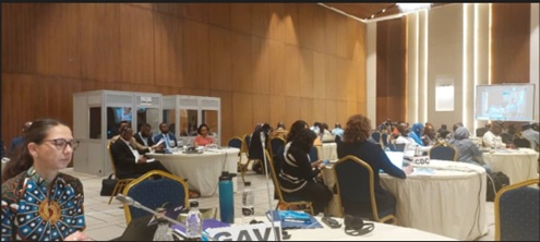 Meningitis MenAfriNet Meeting