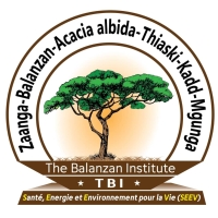 THE BALANZAN INSTITUTE (TBI) SAWADOGO