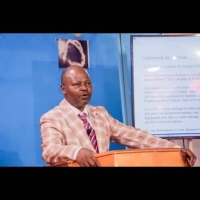 YOLOYOLO NORBERT