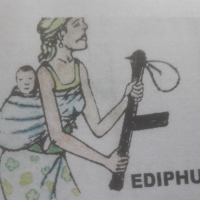 FEDIPHU