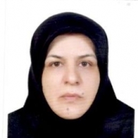 Saeedeh Fakhrzadeh