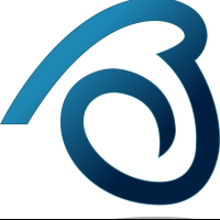 BRISIAL CORP