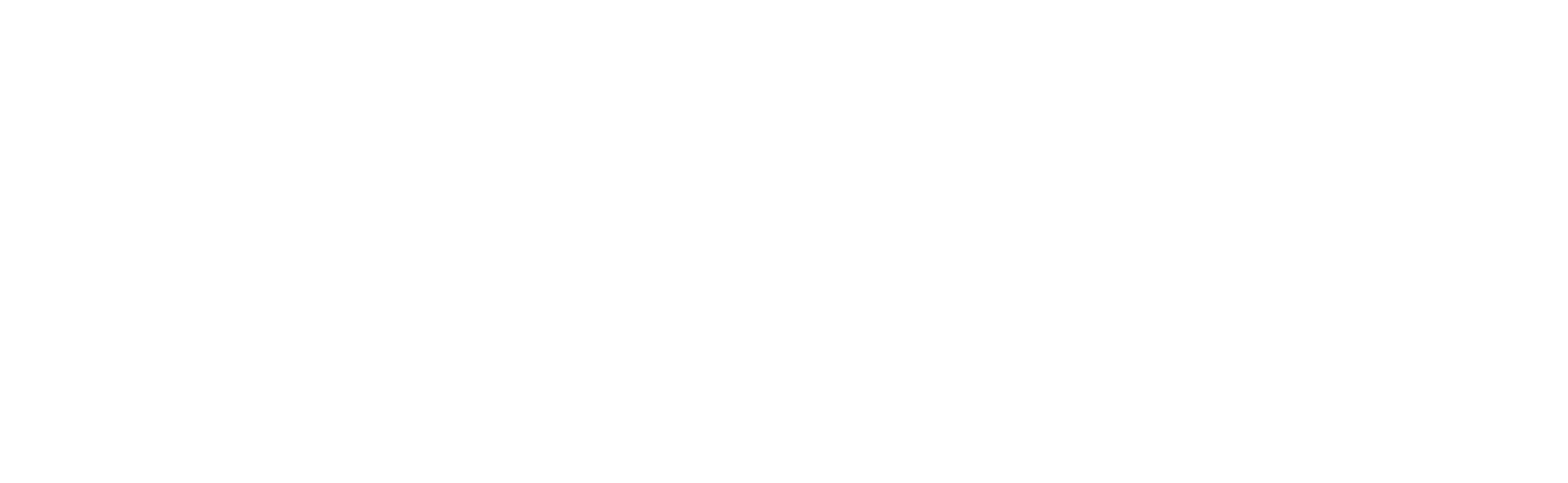 Technet-21 logo